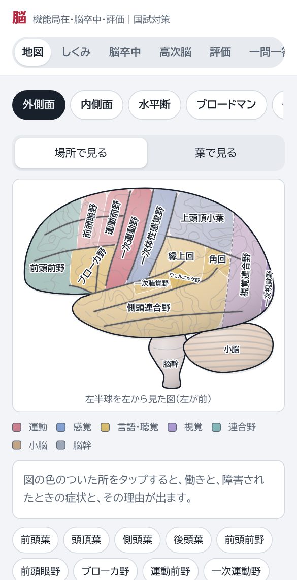脳の外側面の地図。区域ごとに色分けされている