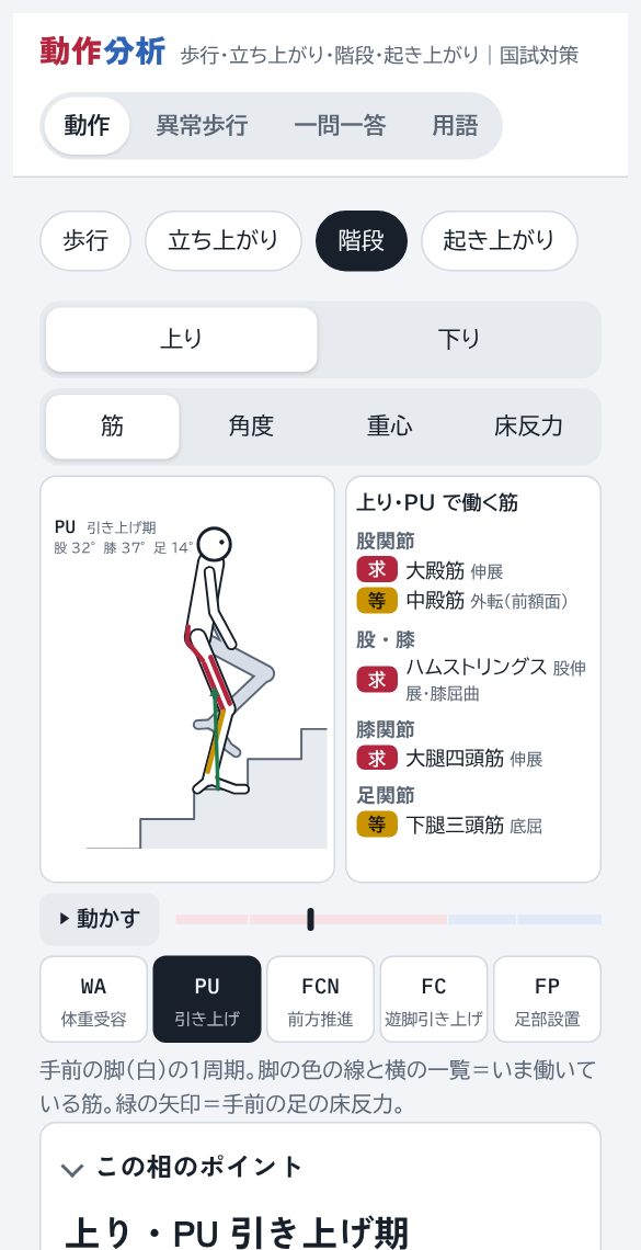 階段昇りの画面。相ごとの筋活動の表