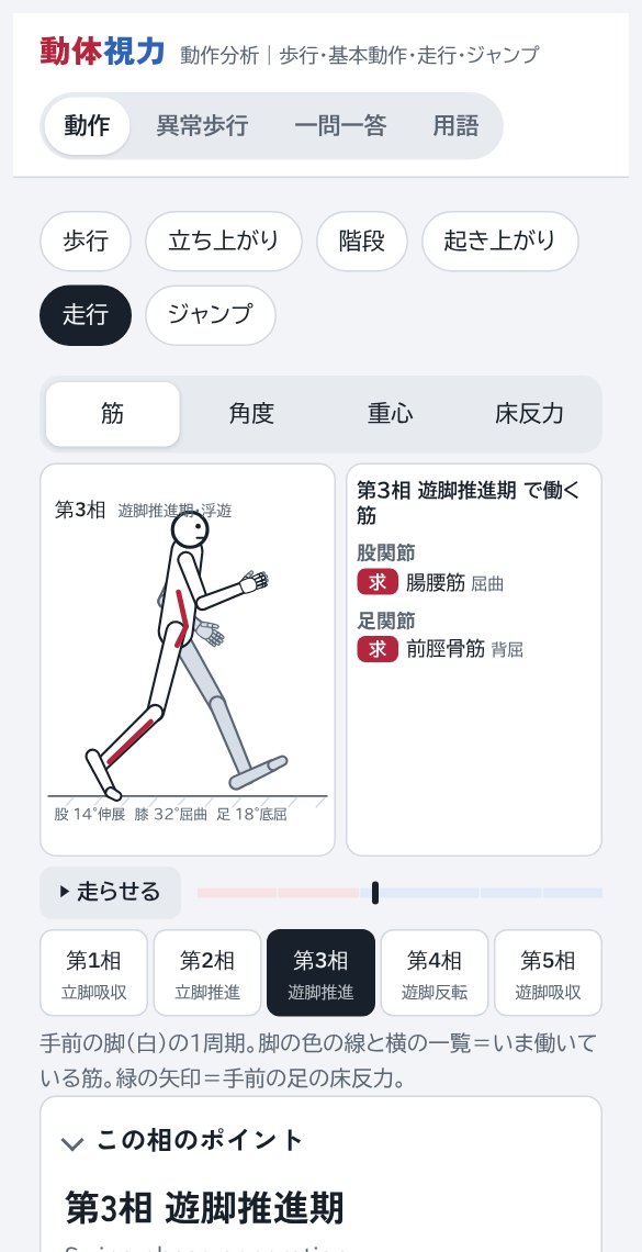 走行の画面。両脚とも浮いている時期の図と、働く筋の一覧