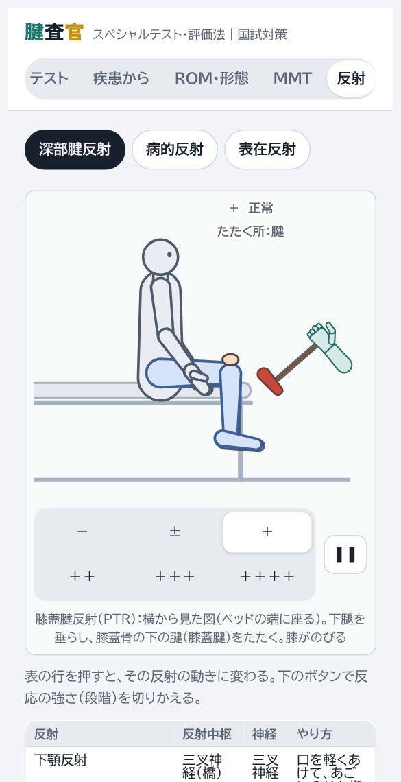 膝蓋腱反射の画面。ハンマーで膝の下を叩く