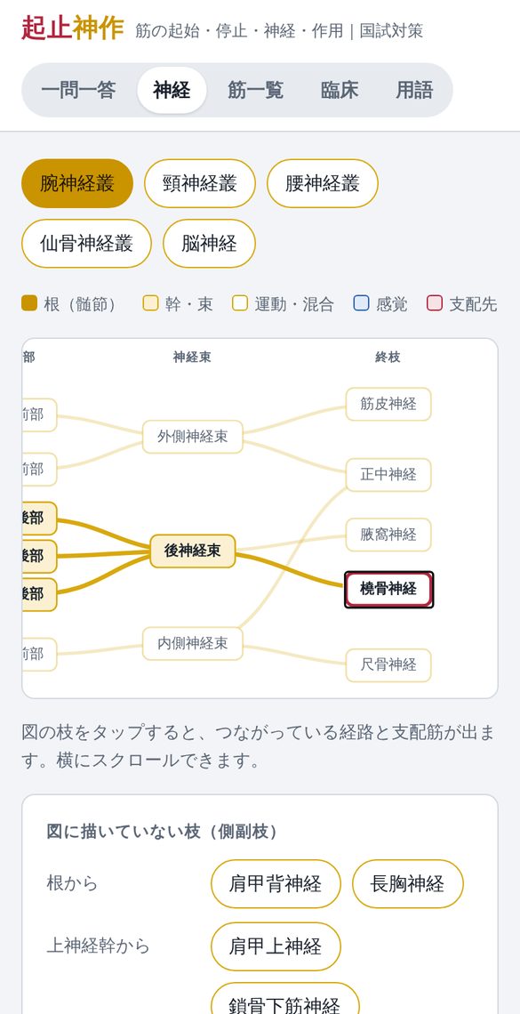 腕神経叢のマップ。橈骨神経を選ぶとC5〜T1の経路が光る